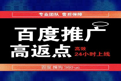 百度SEM推广案例：揭秘行业领军企业的成功之路